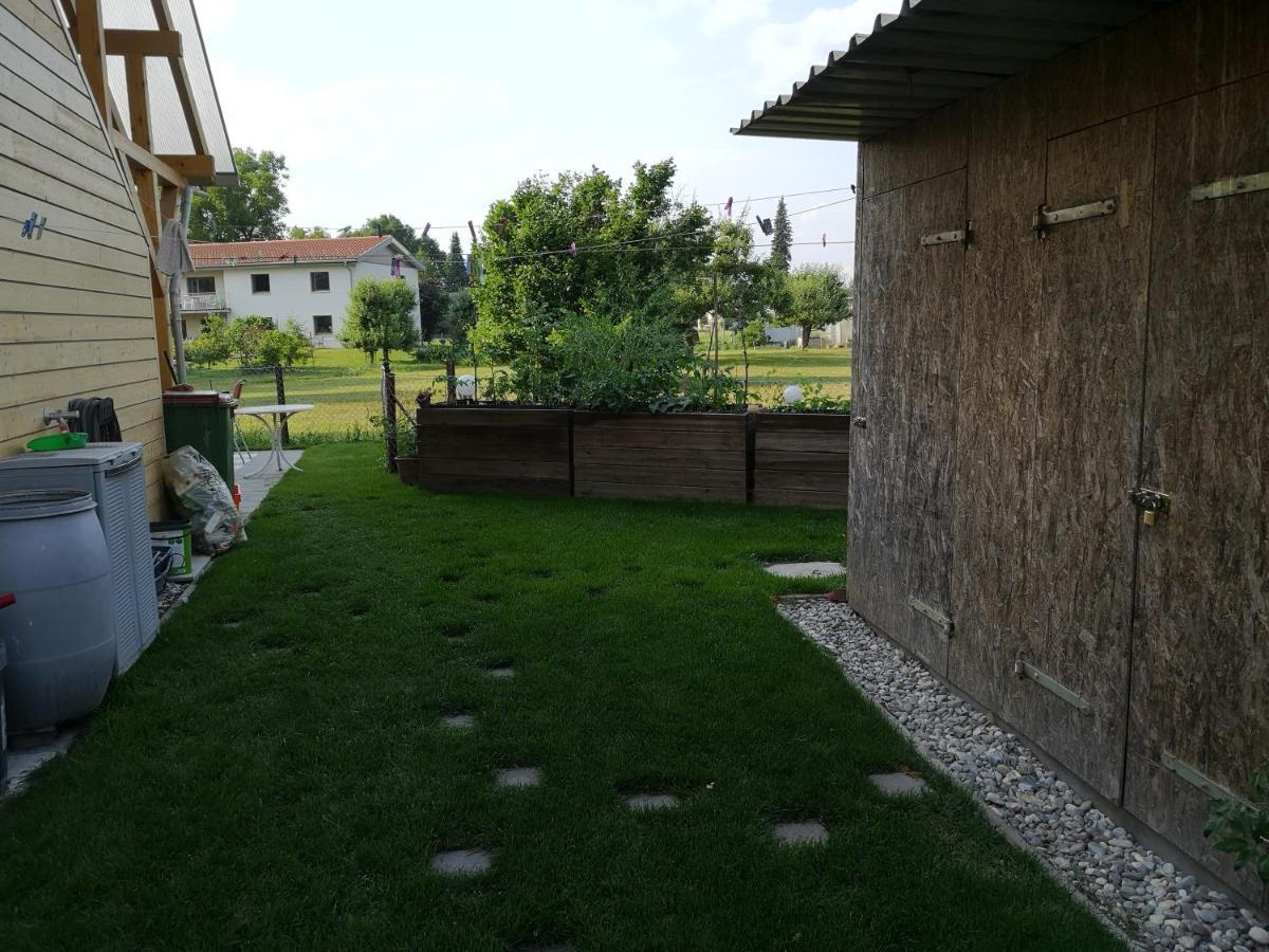 Ferienwohnung Tannenblick 霍赫斯特 外观 照片